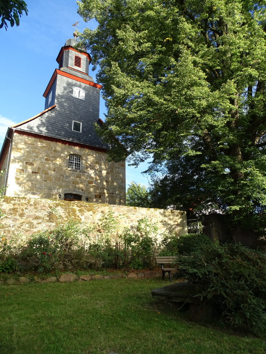 K1 11b Knüllwald Rundwanderweg (11. Erappe, Teil 2) Pedestrial